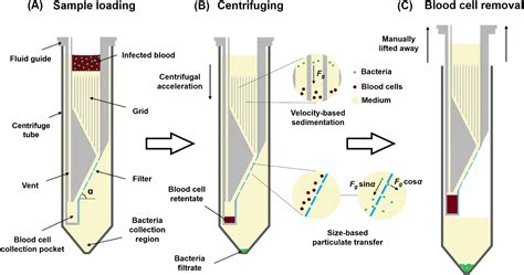 Filter Centrifuge Separation Factor | Process Engineering Reference … - wintechmobiles.com