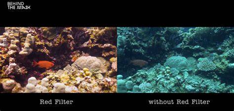 FILTERS FOR UNDERWATER VIDEOGRAPHY (Red Filter, Magenta … - raincitystudios.com