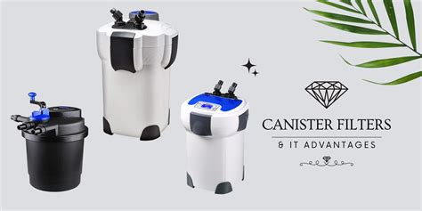 Filtration Discussion: Canister Filter brands and their ... - raincitystudios.com