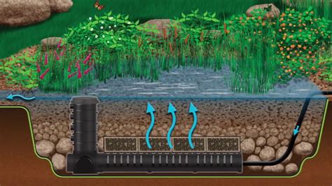 Filtration for Large Ponds - Laguna Koi - raincitystudios.com