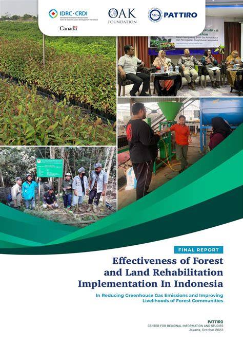 FINAL REPORT Effectiveness of Forest and Land Rehabilitation ... - raincitystudios.com