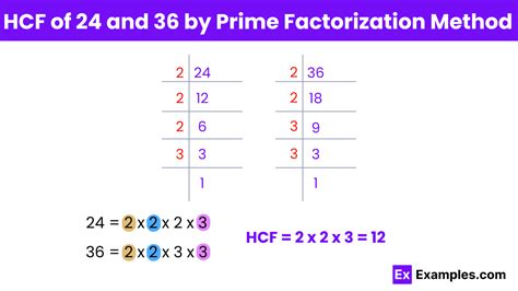Find HCF of the following by prime factorization method: (a) 24... | Filo - wintechmobiles.com
