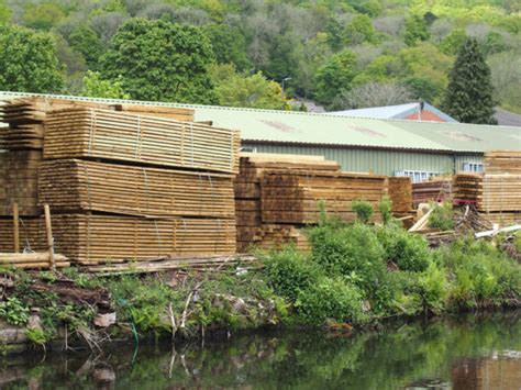 Find Reliable Softwood Suppliers Today - raincitystudios.com