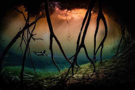 Finding the Art and Soul of Underwater Photography - raincitystudios.com