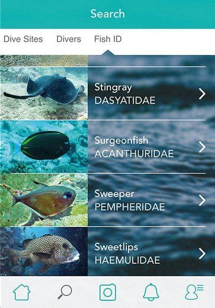 Finding The Best Fish Id App by Reviewing them - raincitystudios.com