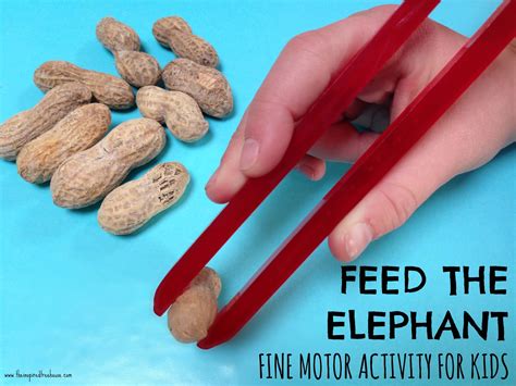 FINE MOTOR GRASPING SKILLS - FEED THE ELEPHANT