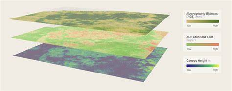 Fine-Scale Mapping and Aboveground Biomass Assessment of Urban … - raincitystudios.com