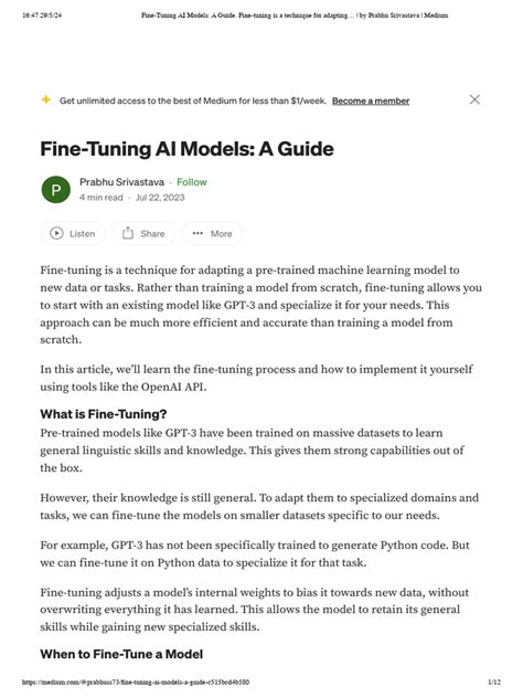 Fine-Tuning AI Models: A Guide - coolestguyplanet.net