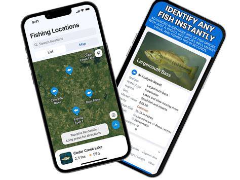 FinFinder: Fish Identification with AI - Machine Learning/Using AI to ... - raincitystudios.com