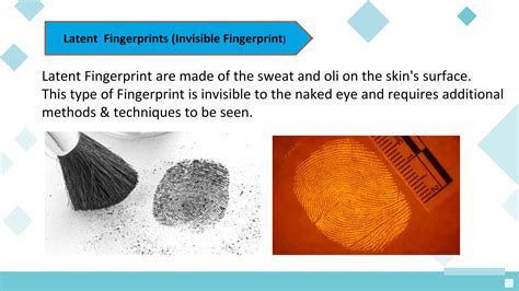 Fingerprint Development Techniques | Request PDF - ResearchGate - wintechmobiles.com
