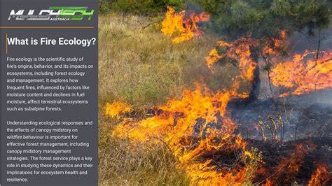 Fire Ecology - U.S. National Park Service - raincitystudios.com