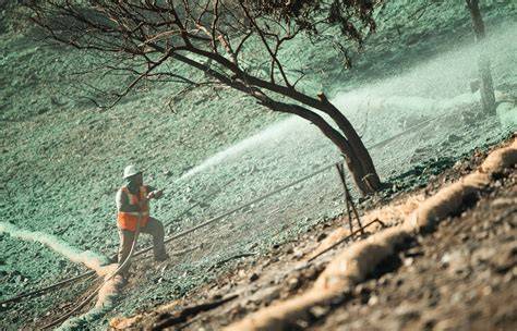 Fire Restoration and Soil Remediation: How Landscape … - raincitystudios.com