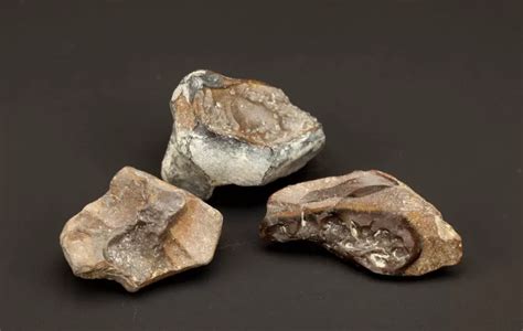 Fire-Altered Stone Tools - The Smithsonian's Human … - wintechmobiles.com