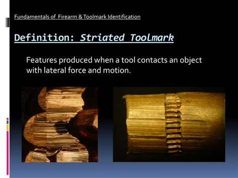 Firearms and toolmarks | NIST - wintechmobiles.com