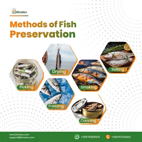 Fish preservation - wintechmobiles.com