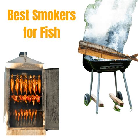 Fish Smokers - Best Buy - balustradellc