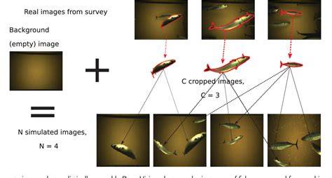Fish species identification using a convolutional neural … - raincitystudios.com