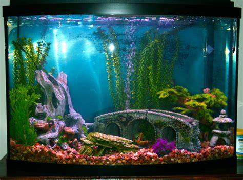 Fish Tank & Aquarium Filters - Canister & Undergravel … - raincitystudios.com
