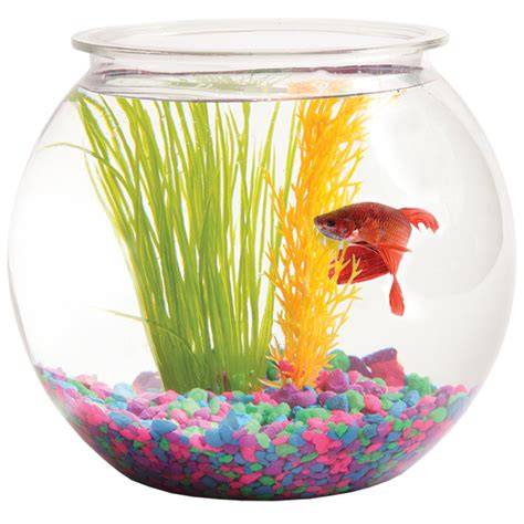 Fish Tanks, Bowls & Aquariums | PetSmart - raincitystudios.com