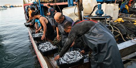 Fisheries Law of the People's Republic of China - balustradellc