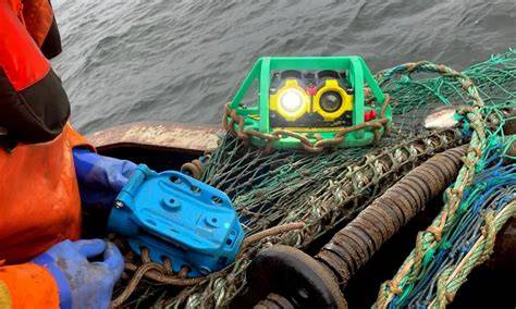 Fishing, technology, and innovation: A path towards - raincitystudios.com