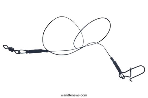 Fishing - NSW Department of Primary Industries - balustradellc