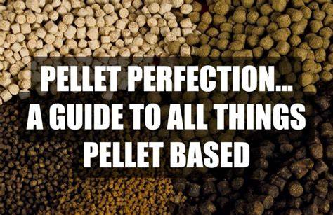 Fishing Pellet Perfection: Expert Tips & Ultimate Guide - raincitystudios.com