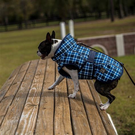 FITS All Weather Dog Coat - SmartPak Equine