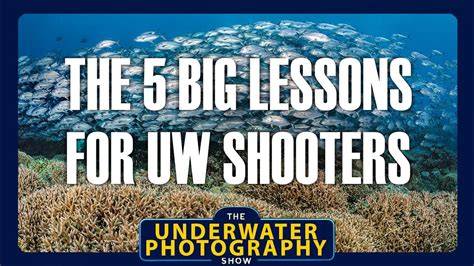 Five Big Lessons for Underwater Photography - raincitystudios.com