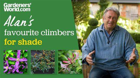Five climbers for shade | Alan Titchmarsh - raincitystudios.com