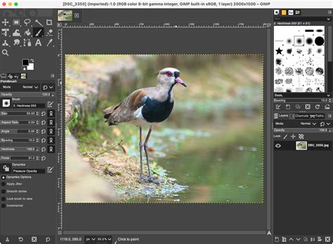 Five Free, Open-Source Photo Editors To Try in 2026 - balustradellc