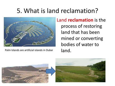 Five Methods of Effective Land Reclamation - raincitystudios.com