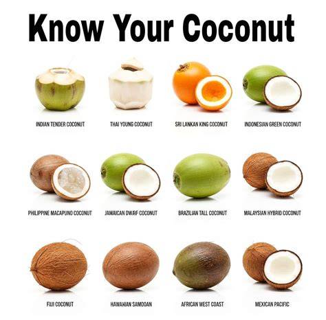 Five most popular coconut varieties according to a certified coconut ... - raincitystudios.com