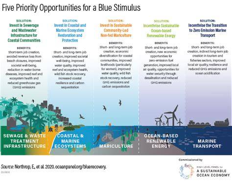 Five priorities for a sustainable ocean economy - Nature - raincitystudios.com