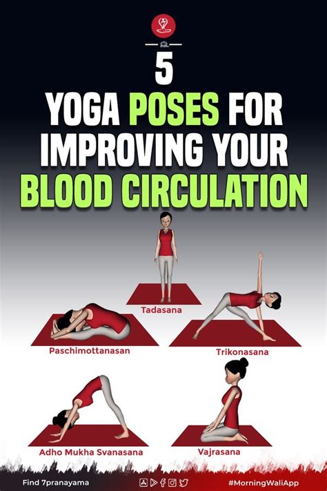 Five Stretches and Exercises to Increase Blood … - balustradellc