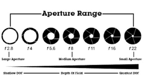 FIVS 210 Post Lab Questions - Visual Arts Study Terms Flashcards - balustradellc