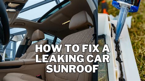 Fix a Leaking Sunroof: DIY Car Maintenance Tips - balustradellc