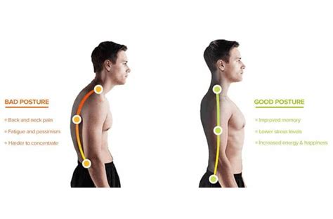 Fix rounded shoulders, hunched back, and forward neck - balustradellc