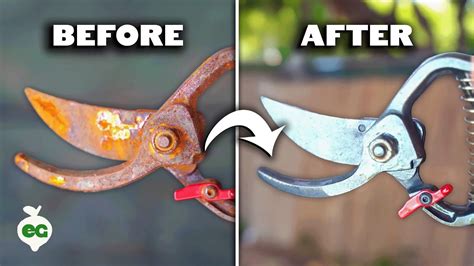 Fix Your Rusty Tools: The Best Way to Restore Them Fast! - balustradellc