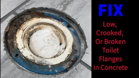 fixing a low toilet flange #plumber #plumbing #homerepair - balustradellc