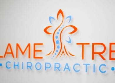 FLAME TREE CHIROPRACTIC PTY LTD Company Profile CASULA, …