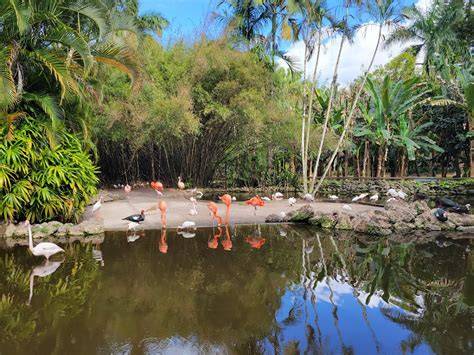 Flamingo Gardens - raincitystudios.com
