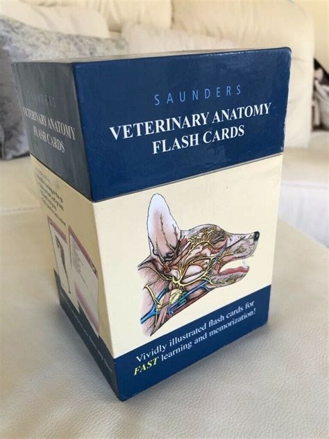 Full Download Flash Cards   Saunders Veterinary Anatomy Flash Cards By Not A Book