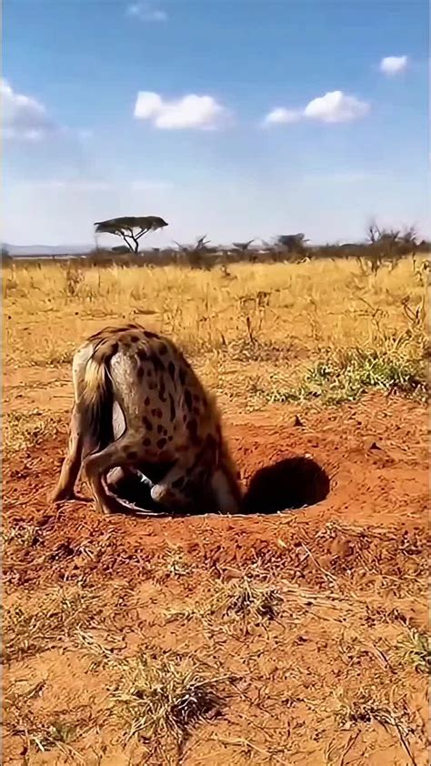 flash22 - balustradellc