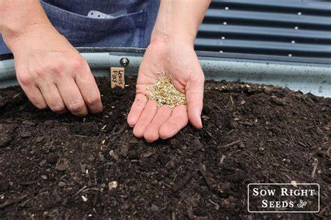 Flax Planting 101: How to Ensure a Successful Harvest - raincitystudios.com
