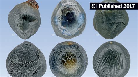 Flecks of Extraterrestrial Dust, All Over the Roof - wintechmobiles.com