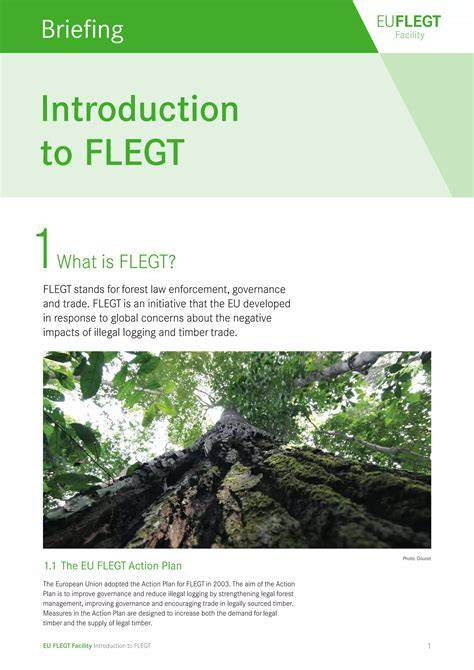 FLEGT VOLUNTARY FLEGT FLEGT VOL - FERN - raincitystudios.com