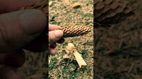 Flint and Steel Fire Starter Tutorial: Ignite Your Adventure - balustradellc