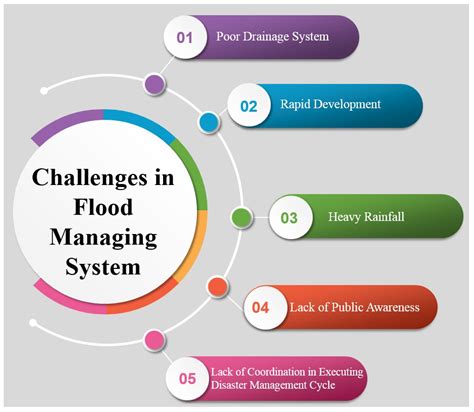 Flood management - raincitystudios.com