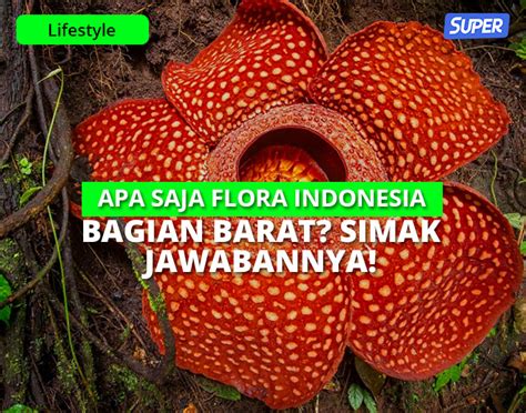 Flora Indonesia Bagian Barat - wintechmobiles.com